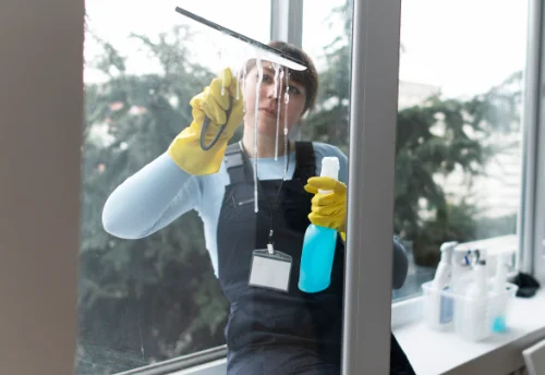 Nettoyage de vitres intérieures et extérieures à Saint-Just-Luzac